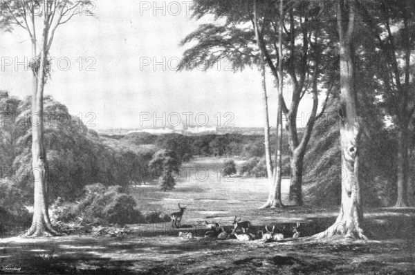 Pictures from the Royal Academy: Windsor Castle, from the Forest - C. E. Johnson, 1895. Creator: George Meisenbach.