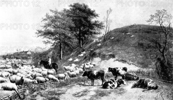 Pictures from the Royal Academy: The Morning's Inspection - T. Sidney Cooper, R.A., 1895. Creator: George Meisenbach.