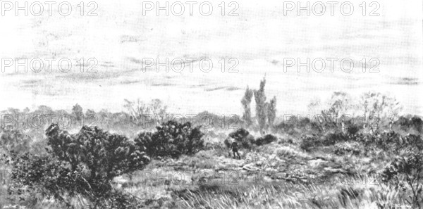 Pictures from the Royal Academy: "The Sear, The Yellow Leaf" - J. Brett, A.R.A., 1895. Creator: George Meisenbach.