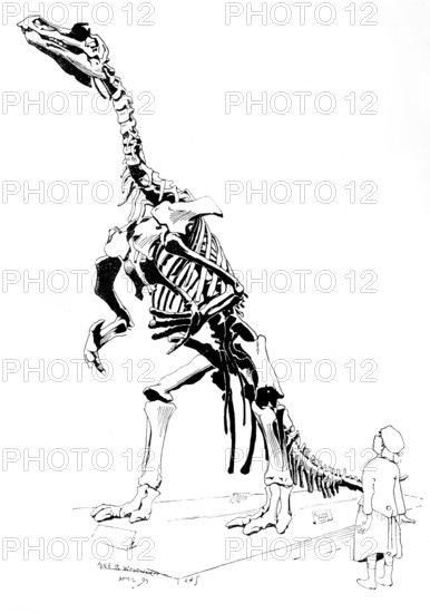 The Iguanodon, 1895. Creator: Carl Hentschel.