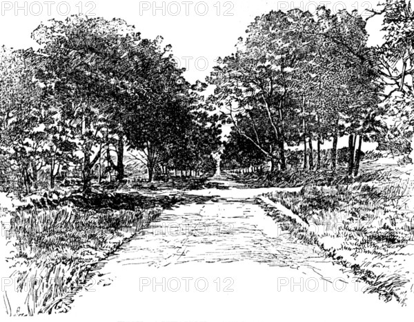 The Boswell Centenary: The Avenue, Auchinleck, 1895. Creator: Unknown.