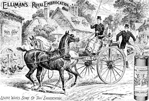Advertisement for Elliman's Royal Embrocation, 1895. Creator: Unknown.