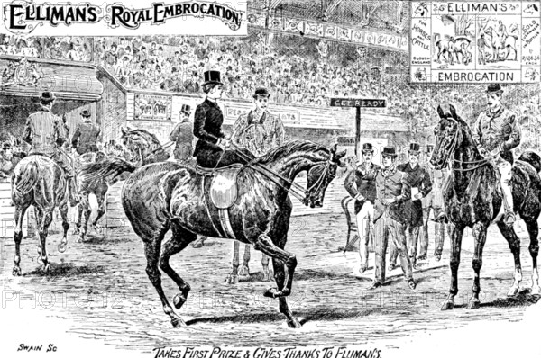 Advertisement for Elliman's Royal Embrocation, 1895. Creator: Joseph Swain.