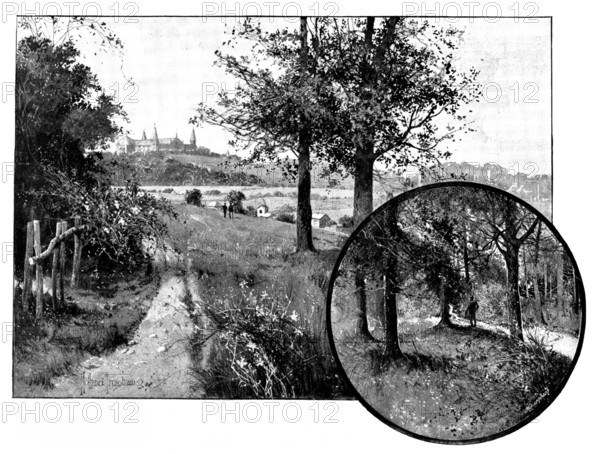 Churchyard Bottom Wood, Highgate, the spoliation of which is under discussion, 1895. Creator: George Meisenbach.