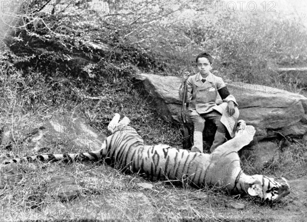The first tiger shot by Prince Bughwan Singh, aged twelve, 1895. Creator: J. Cowell.