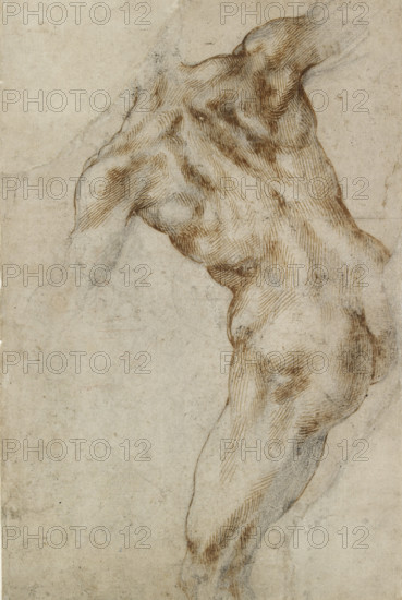 Nude male Torso (possibly a study for the Battle of Cascina), 1501-1505.  Creator: Michelangelo Buonarroti.