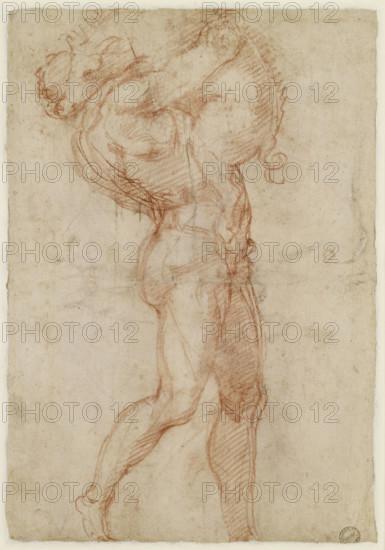 (Possibly) Hercules wrestling the Erymanthian boar, 1501-1505.  Creator: Michelangelo Buonarroti.