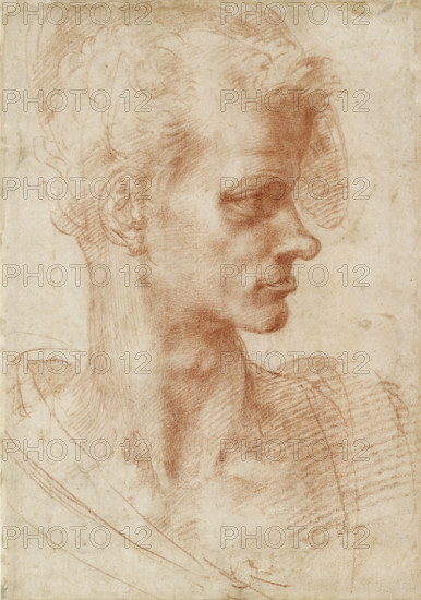 Study of a Man's Head, 1501-1505.  Creator: Michelangelo Buonarroti.