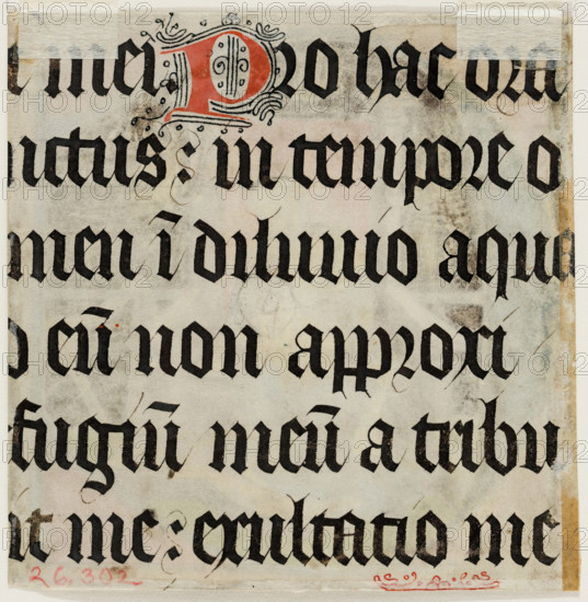 Leaf Fragment with Text with Ornamental "P", 15th century. Creator: Unknown.