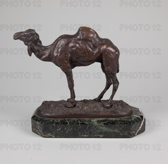 Camel,  mid 19th century. Creator: Antoine-Louis Barye.