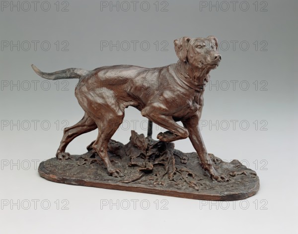 French Pointer, 1863. Creator: Pierre-Jules Mene.