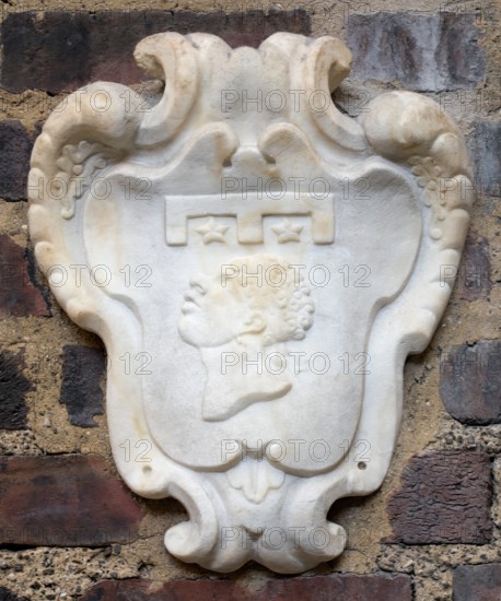 Coat of Arms of the Pucci delle Stelle Family, late 17th century. Creator: Unknown.