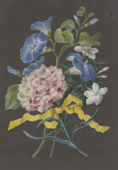 Arrangement of pink carnations (Dianthus), blue bindweed (Convolvulus), and white jasmine ... Creator: Barbara Regina Dietzsch circle.