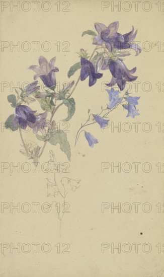 Bluebells. Creator: Wilhelm August Theodor Steinhausen.