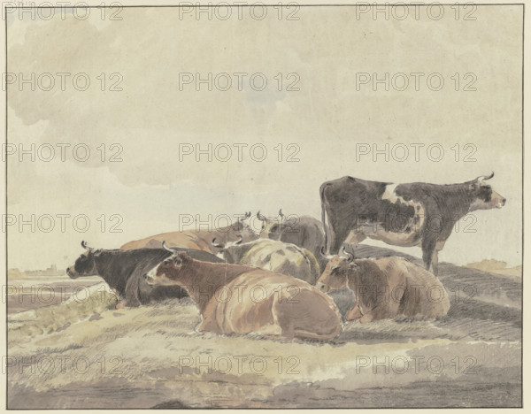 Six cows lying down and one standing on a hill. Creator: Andries Vermeulen.