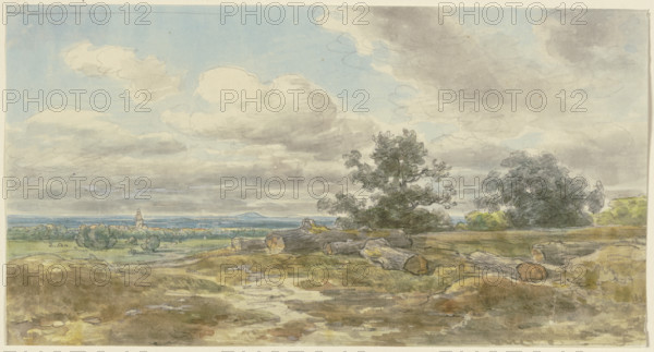 View over a plain, sawn-off tree trunks lying in the foreground, c1850-1905. Creator: Anton Burger.
