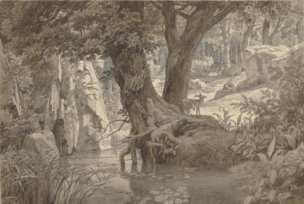 Forest landscape, 1832. Creator: Johann Wilhelm Schirmer.