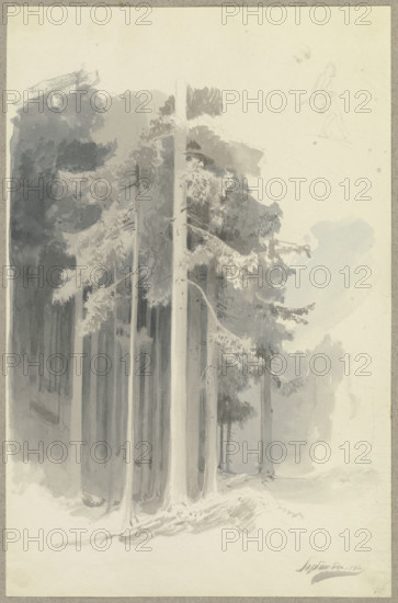 Poetic coniferous forest on a slope, sketch of a figure walking downhill (or leaning?)..., 1844. Creator: Carl Theodor Reiffenstein.