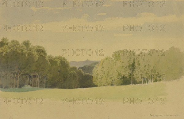 The Sombornswiese meadow with its hunting stand, 1862. Creator: Carl Theodor Reiffenstein.