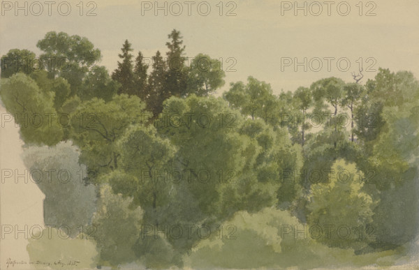 The Pfaffenstein near Arnsburg Monastery, 1865. Creator: Carl Theodor Reiffenstein.