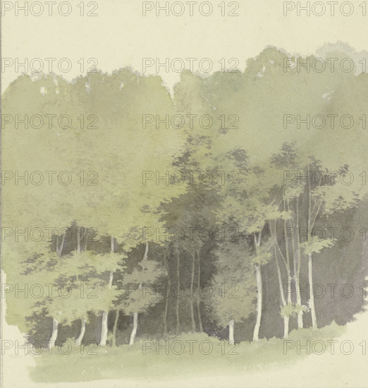 Edge of a wood, c1853. Creator: Carl Theodor Reiffenstein.