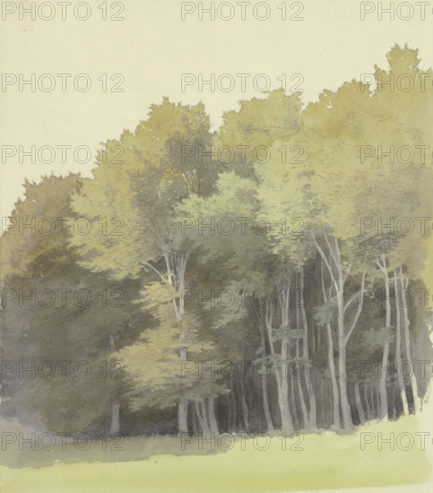 Edge of a wood, c1853. Creator: Carl Theodor Reiffenstein.