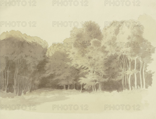 Edge of a wood, c1853. Creator: Carl Theodor Reiffenstein.