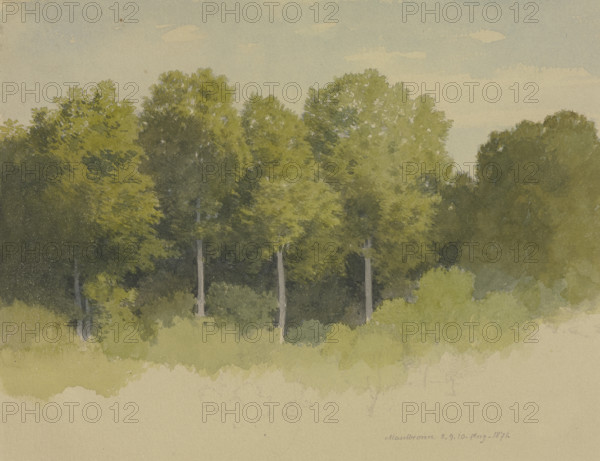 Forest edge near Maulbronn, 1871. Creator: Carl Theodor Reiffenstein.