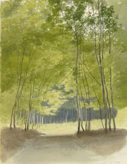 Forest path, 1863. Creator: Carl Theodor Reiffenstein.