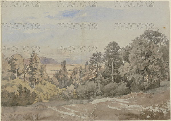 Forest with distant view, mid-19th century. Creator: Johann Wilhelm Schirmer.