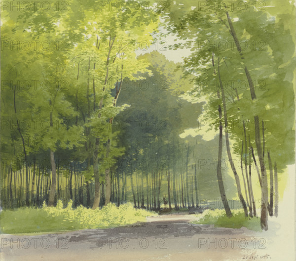 Forest section, 1855. Creator: Carl Theodor Reiffenstein.