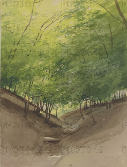 Course of a stream in a forest, 1855. Creator: Carl Theodor Reiffenstein.