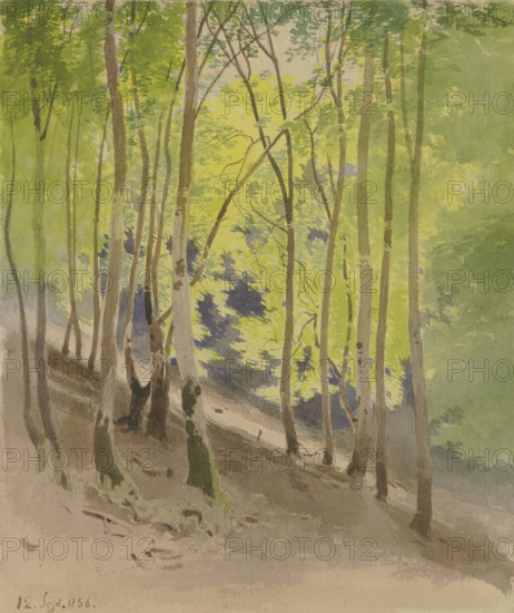 Forest slope, 1856. Creator: Carl Theodor Reiffenstein.