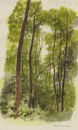 Forest near Konigstein, 1876. Creator: Carl Theodor Reiffenstein.