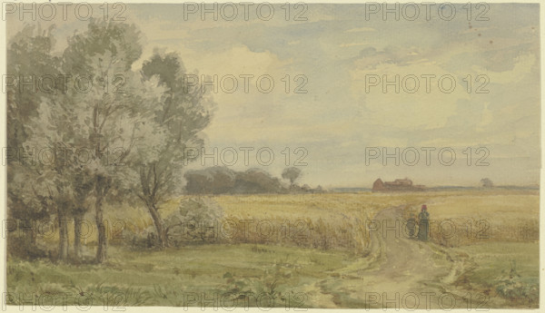 Cornfield in the summer, mid-late 19th century. Creator: Karl Peter Burnitz.