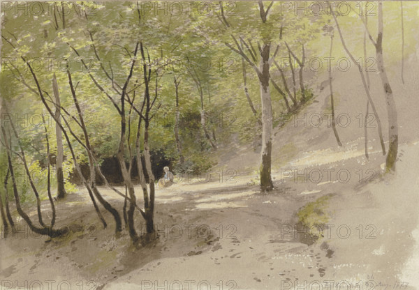Forest path near Falkenstein, 1877. Creator: Carl Theodor Reiffenstein.