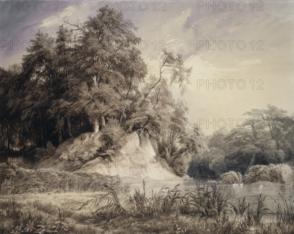 Forest Landscape with Lake and Swans, c1830-1834. Creator: Johann Wilhelm Schirmer.