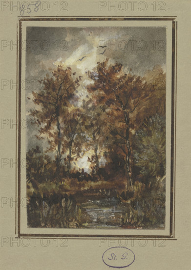 Autumn scenery with a brook, mid-late 19th century. Creator: Jakob Maurer.
