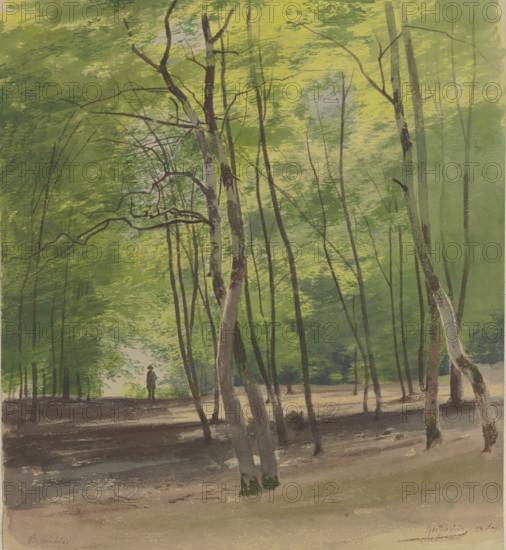Forest near Braunfels, 1855. Creator: Carl Theodor Reiffenstein.