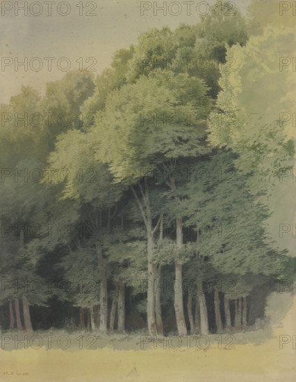 Forest edge near Braunfels, 1855. Creator: Carl Theodor Reiffenstein.
