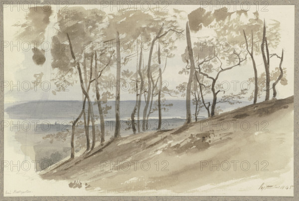 Group of trees on a slope near Hallgarten, the Rhine and a ridge in the background, 1845. Creator: Carl Theodor Reiffenstein.