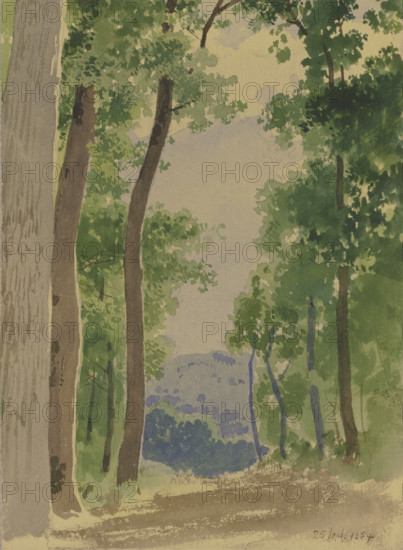 Forest path, 1854. Creator: Carl Theodor Reiffenstein.