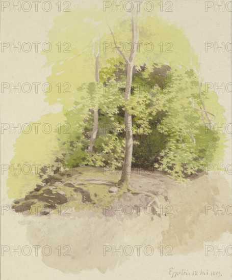 Forest section, 1889. Creator: Carl Theodor Reiffenstein.