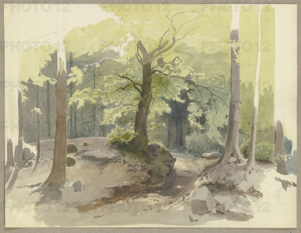 Forest path in the Ilse Valley in the Harz Mountains, c1844. Creator: Carl Theodor Reiffenstein.