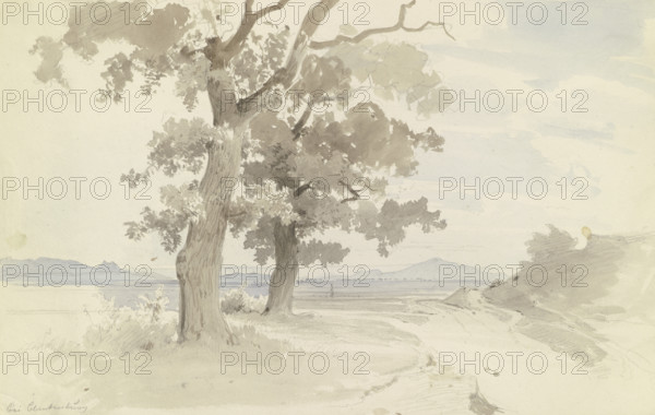 Tree-lined path through a plain near Blankenburg in the Harz Mountains, c1844. Creator: Carl Theodor Reiffenstein.