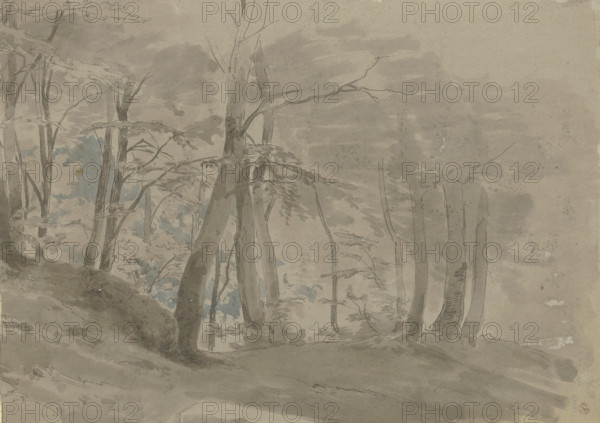 Forest section, c1840-1890. Creator: Carl Theodor Reiffenstein.