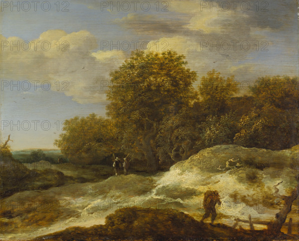 Landscape with Sandy Path, c1655. Creator: Willem Gras.