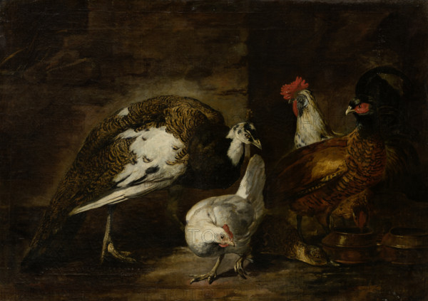Poultry Yard with Peacock and Peahen, 1601-1700. Creator: Mario Nuzzi.