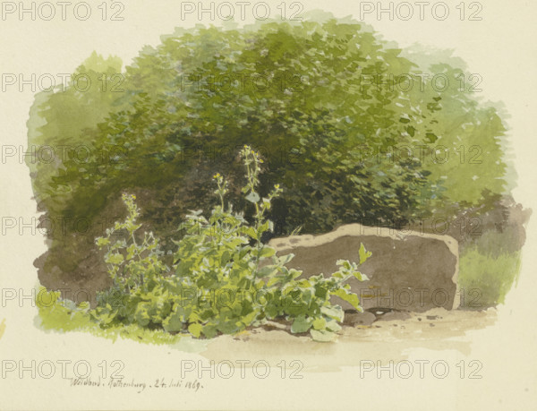 A plant next to a stone block, with bushes behind it, 1869. Creator: Carl Theodor Reiffenstein.