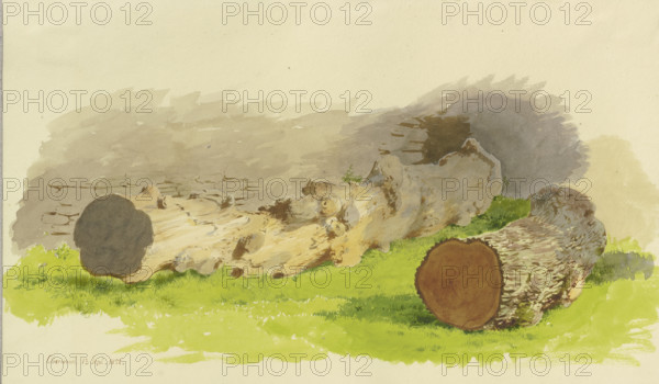 Sawed-off tree trunks in front of a wall in Oberwesel, 1858. Creator: Carl Theodor Reiffenstein.